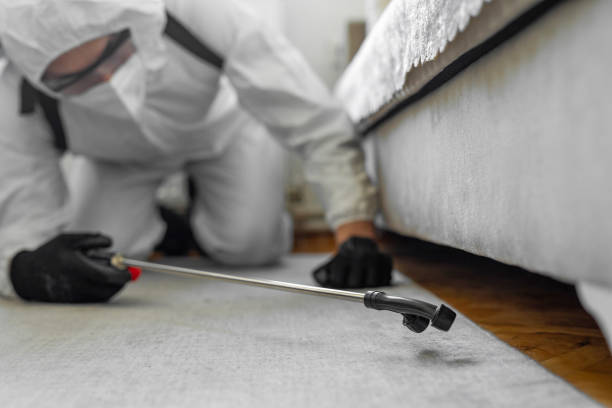 Professional Termite Control technician working in Brazil, IN