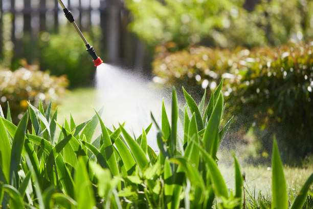24/7 Emergency Termite Control experts in Brazil, IN