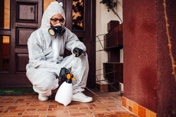 Reliable Termite Control contractor in Brazil, IN by Nex Pest Control